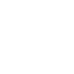 Devin Desktop Logo